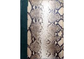 Livro de Oficio - 4
